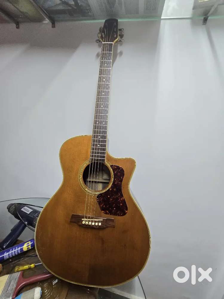 LIMITED EDITION WALDEN G630CE NATURA SEMI ACOUSTIC FISHMAN  PREYSS