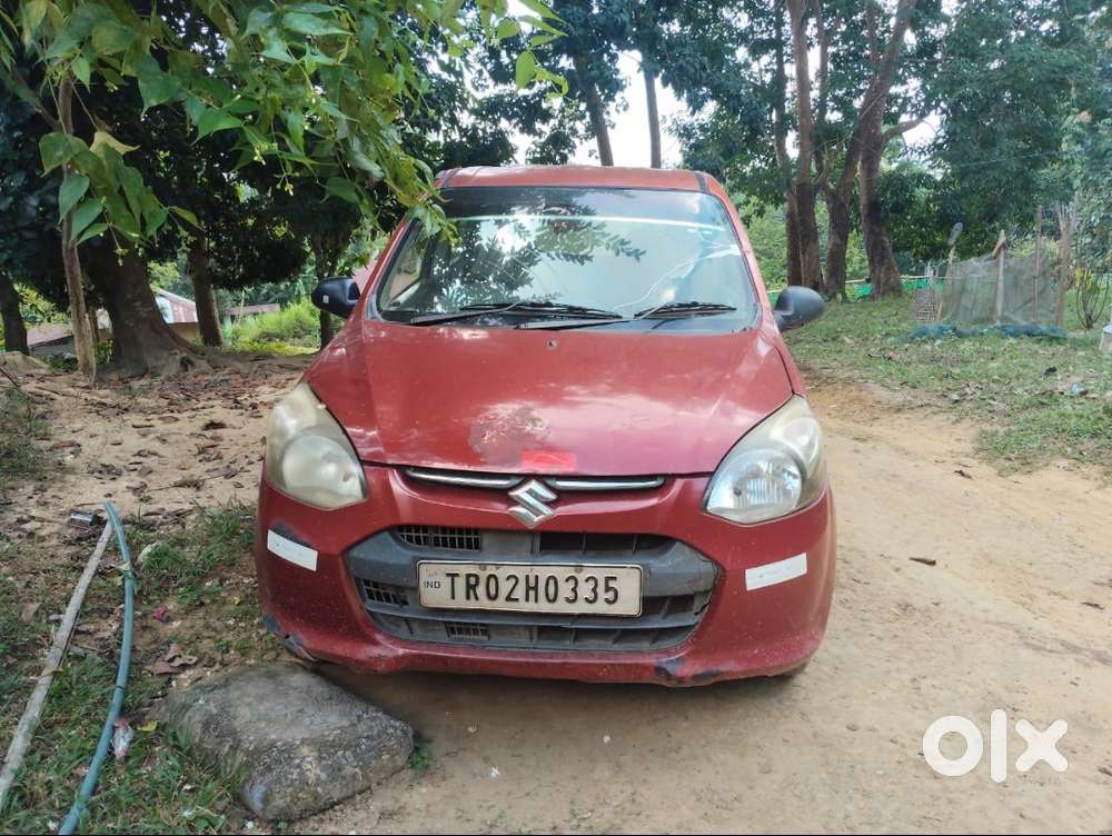 Alto 800 Ac Model
