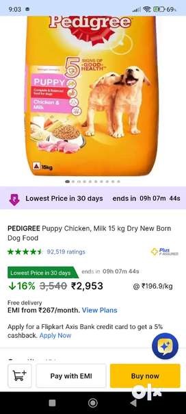 Pets for sale in India OLX