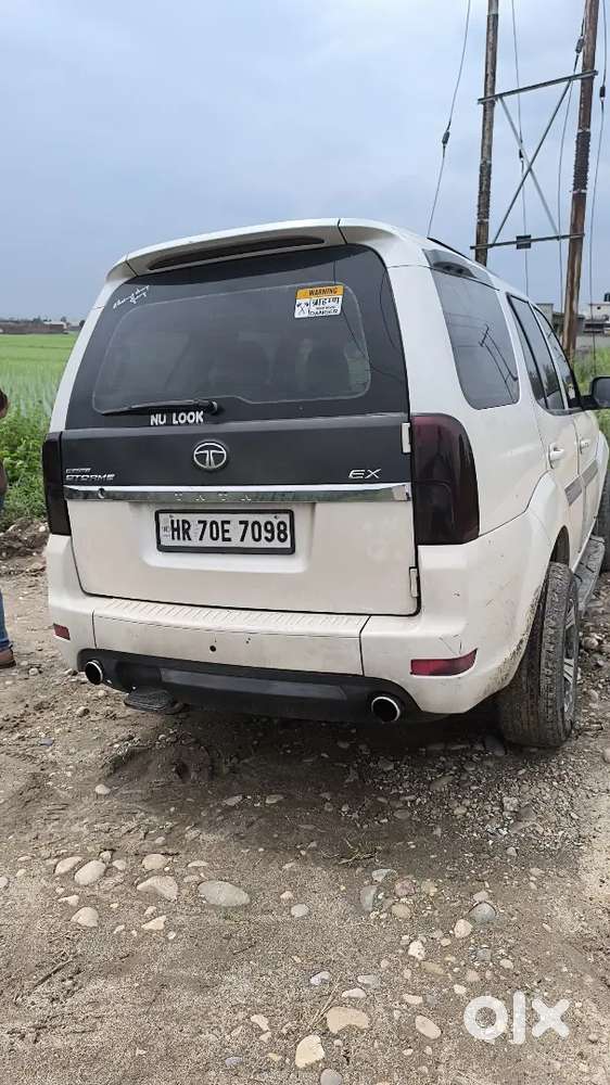 Selly My Safari Storme