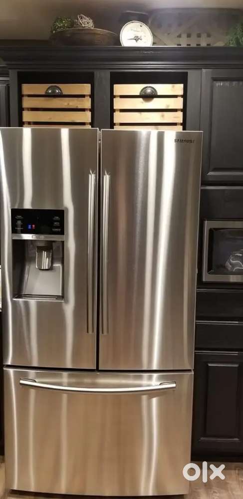 Double door fridge /only (1) problem can fix that,