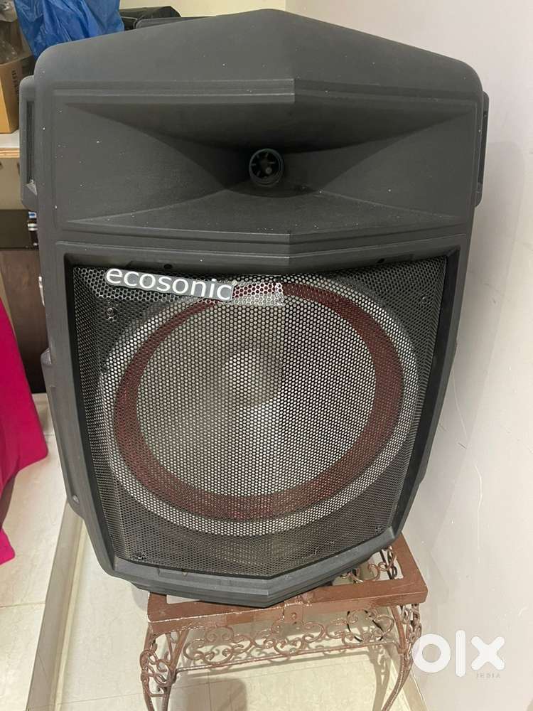 Ecosonic speaker
