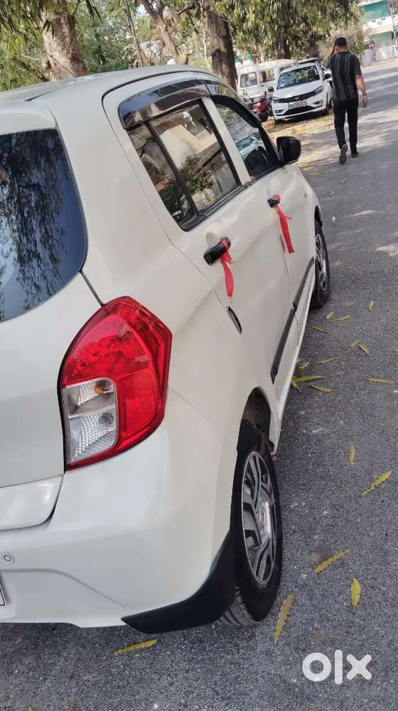 Maruti Suzuki Celerio 1.0 Tour 2019 Company Fitet Cng
