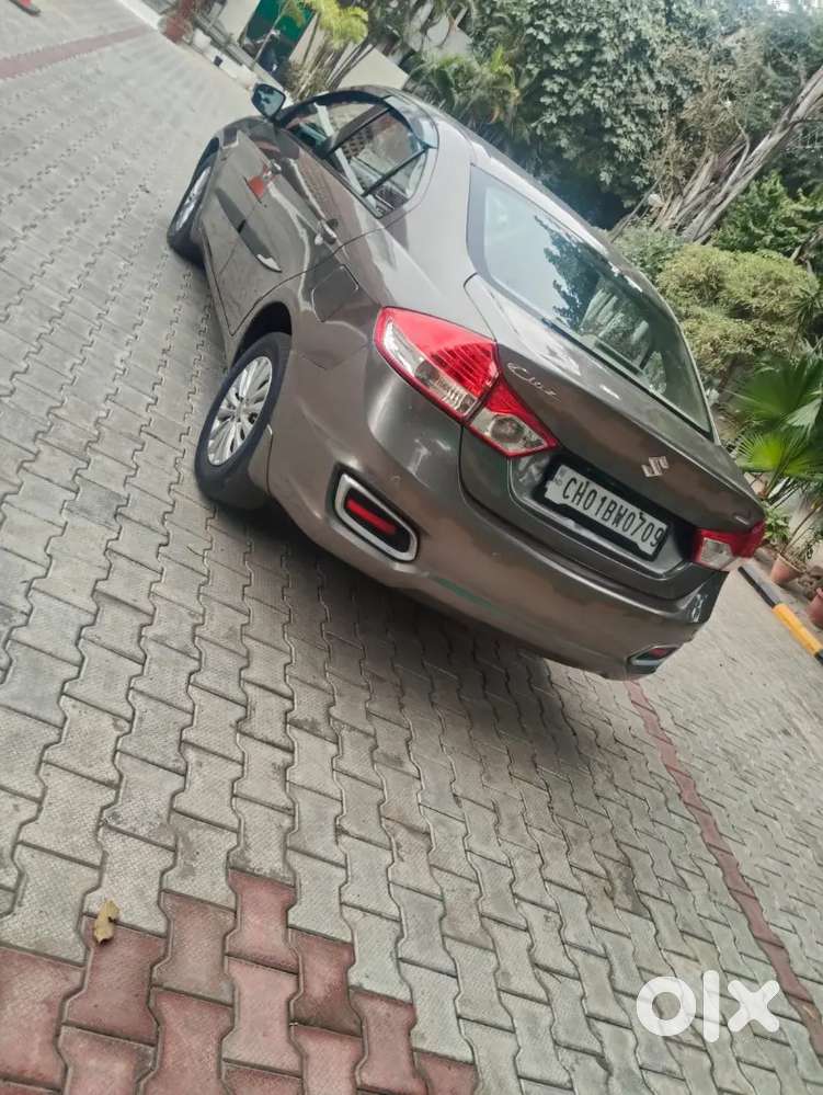 2nd Owner Maruti Ciaz 2019 Diesel