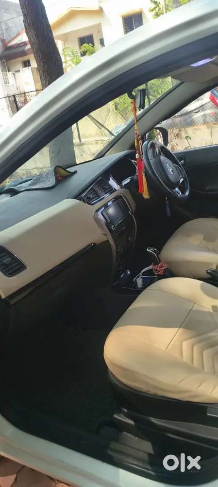 Full Condition 24 Caret