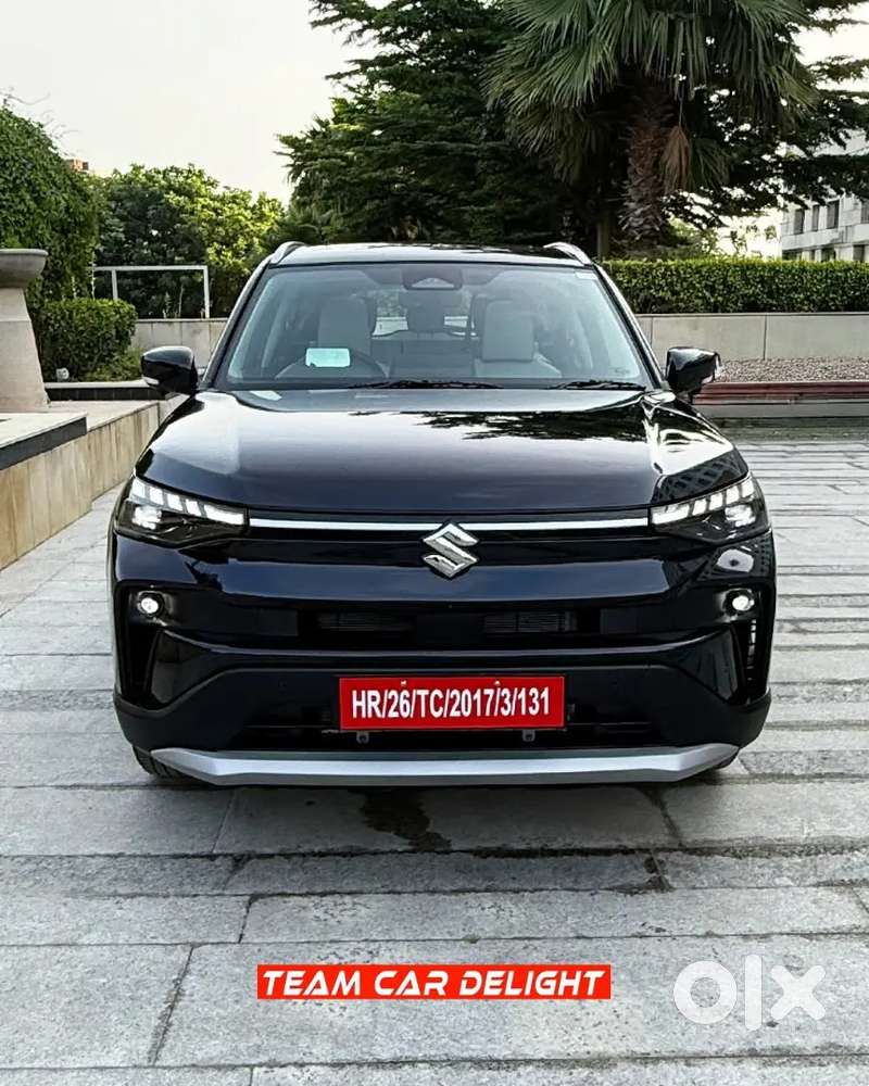 Grand Vitara, Victoris, E-vitara(petrol,cng, Hybrid, Electric)
