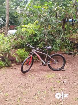 Olx sports cycle sale