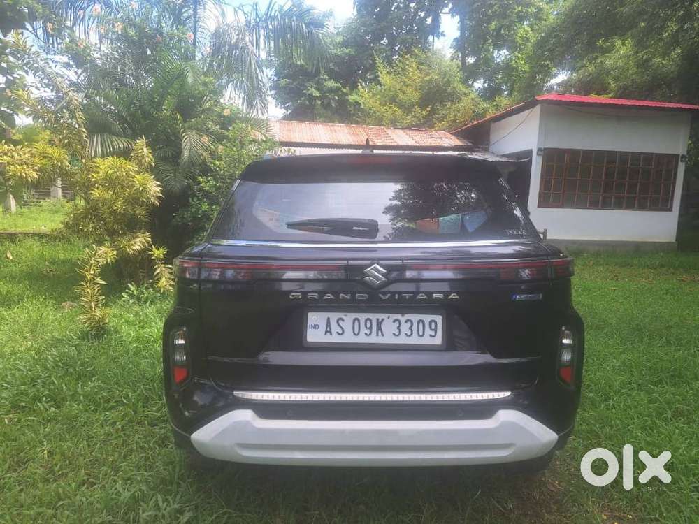 Maruti Suzuki Grand Vitara 2023 Petrol Well Maintained