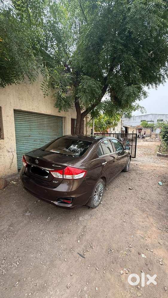 Maruti Suzuki Ciaz 2015 Diesel