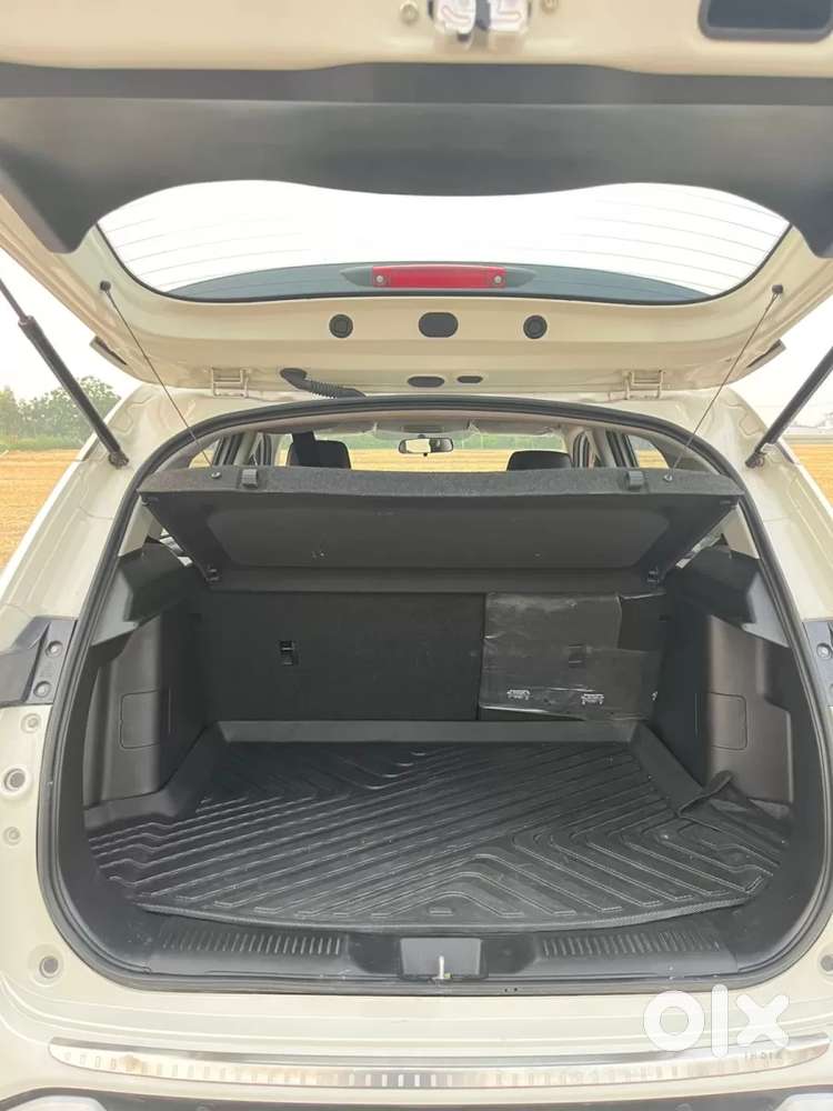 Maruti Suzuki Grand Vitara 1.5 Delta Smart Hybrid, 2024, Petrol