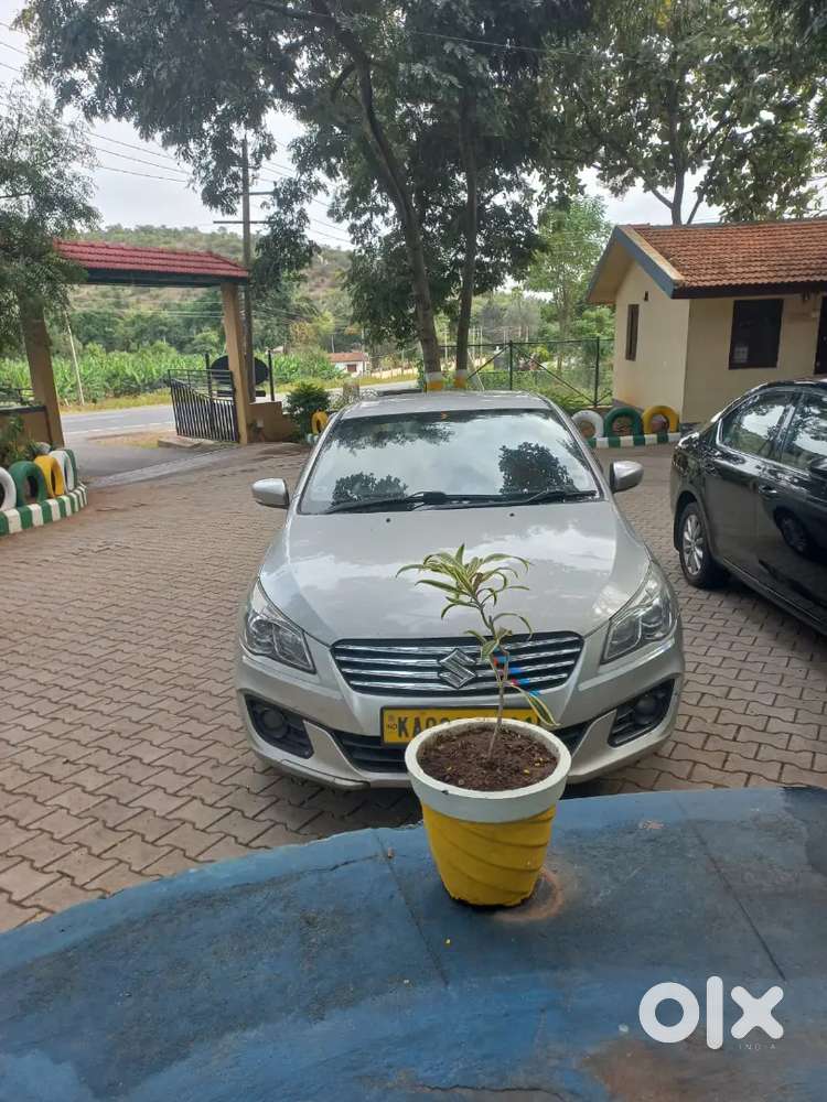 Maruti Suzuki Ciaz Vdi 2015
