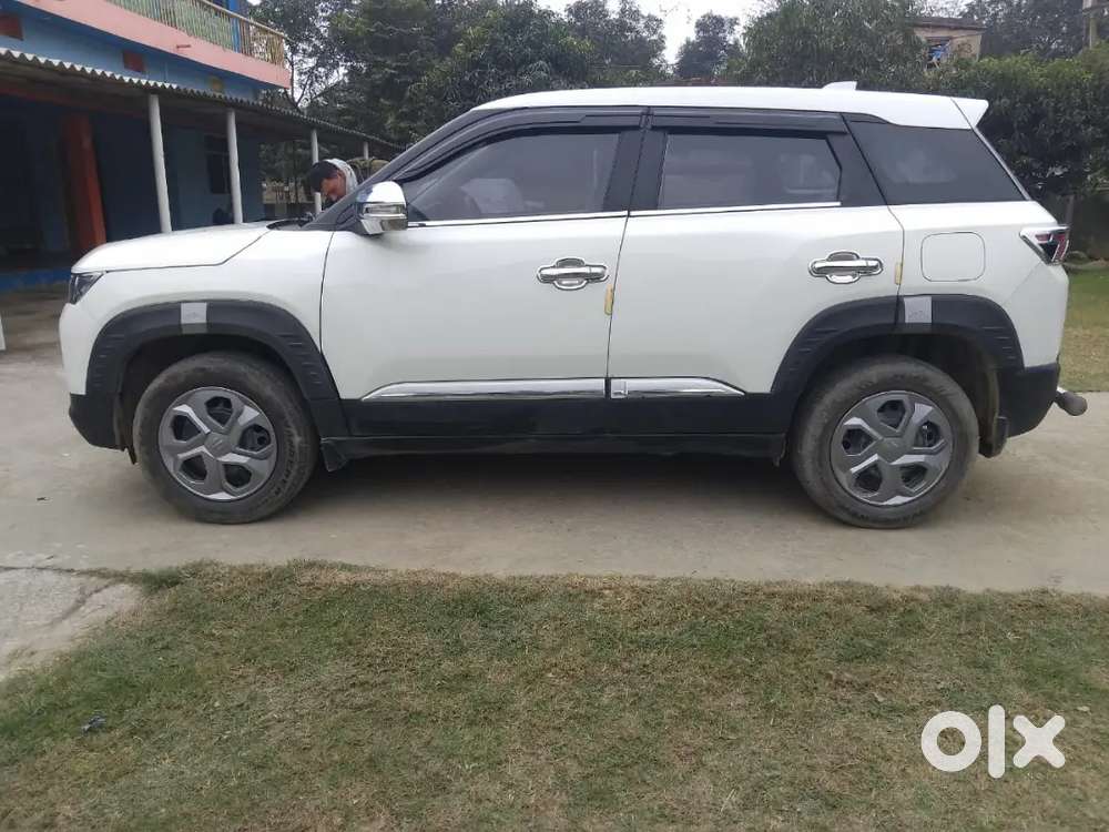 Maruti Suzuki Brezza 2024 Petrol 17500 Km Driven