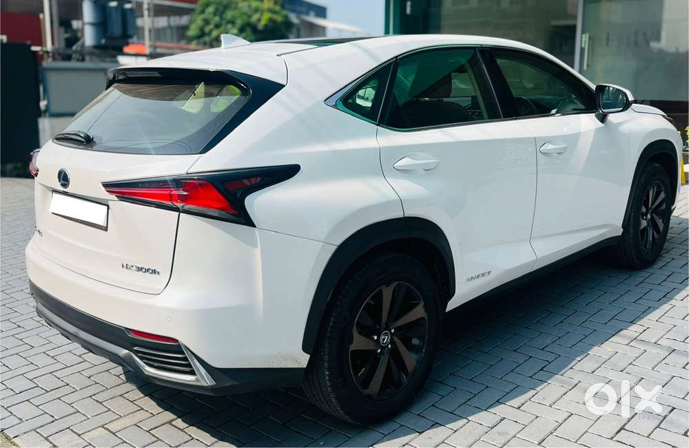 Lexus Nx Lexus-nx-300h-luxury, 2019, Petrol