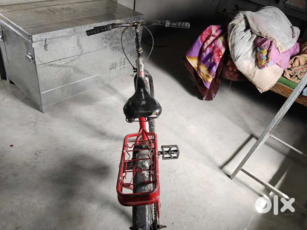 Best cycle with low budget