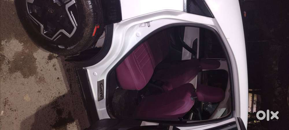 Tata Curvv Petrol 20500km Driven And 24 Dec 2024 Registration Date