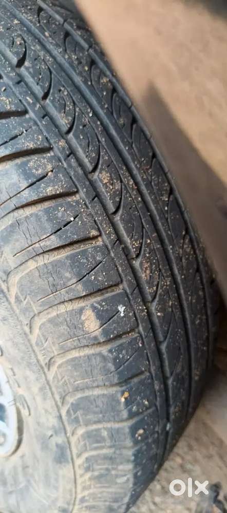 Good Condition  All Paper Calir