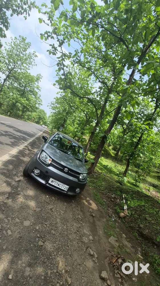 Maruti Suzuki Ignis Sigma 2019