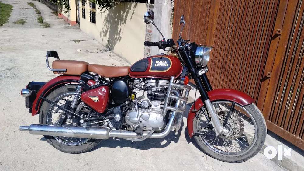 Chestnut bullet shoponline price