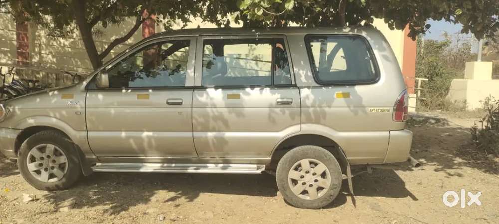 Seat Capacity 9plus1 Seal Tyers Enjen In Good Condition