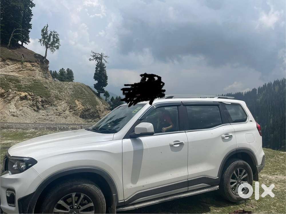 Mahindra Scorpio-n 2024 Diesel Well Maintained