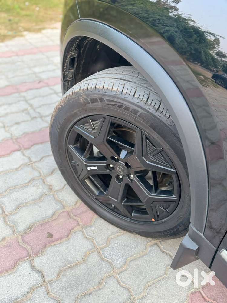 Tata Safari Accomplished X Plus 7 Str Dark Edition, 2024, Diesel