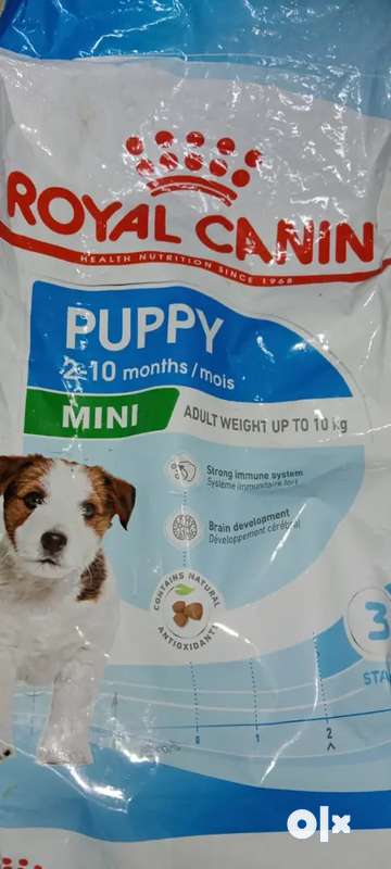 Royal canin outlet olx