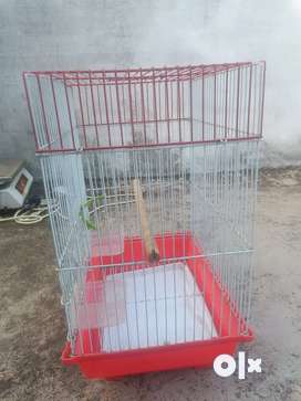 Love bird best sale cage olx