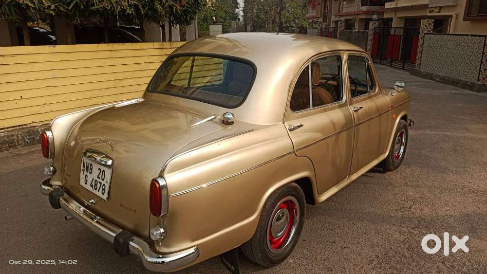 Ambassador Ambassador