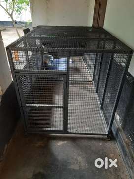 Dog 2024 crate olx