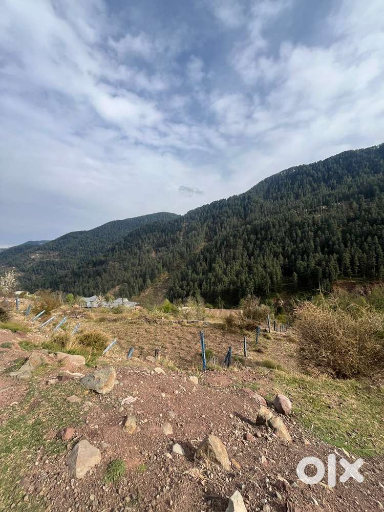 Land For Sale At Sanasar Village Best For Summers