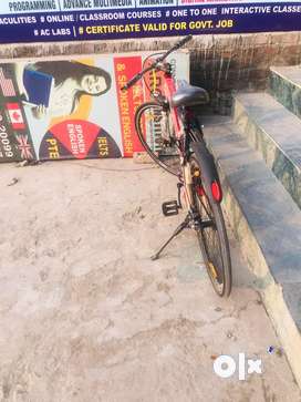 Cycle buy online olx clearance