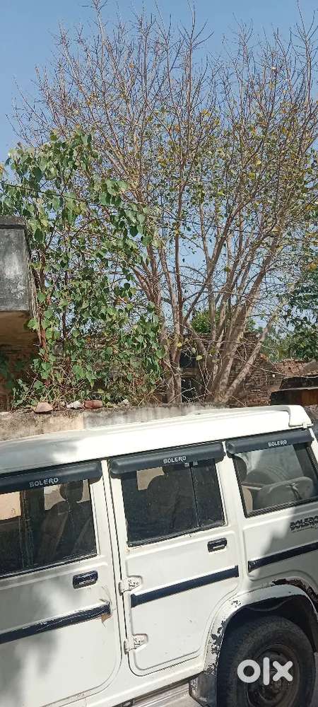 Mahindra Bolero Slx 2008 डीज़ल