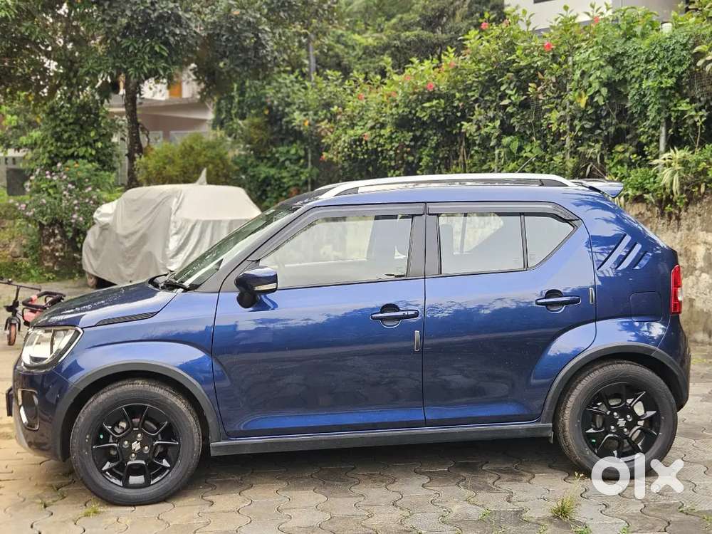 Maruti Suzuki Ignis 2022 Car