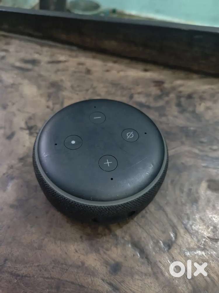 Alexa device