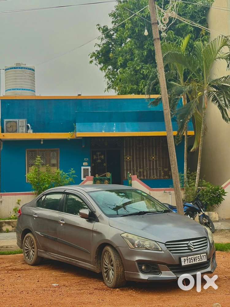 Maruti Suzuki Ciaz Diesel 2016 Year
