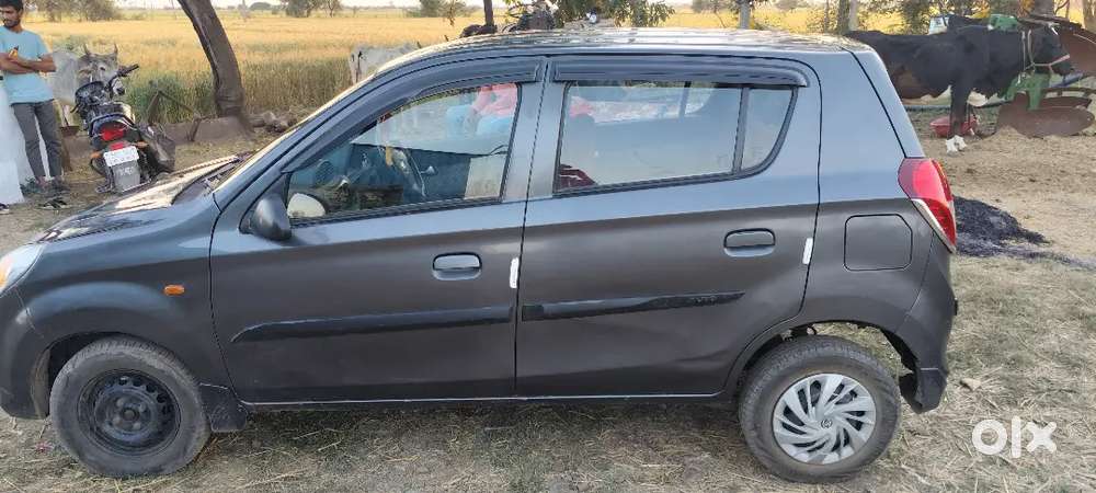 Alto 800 Vxi Automatic