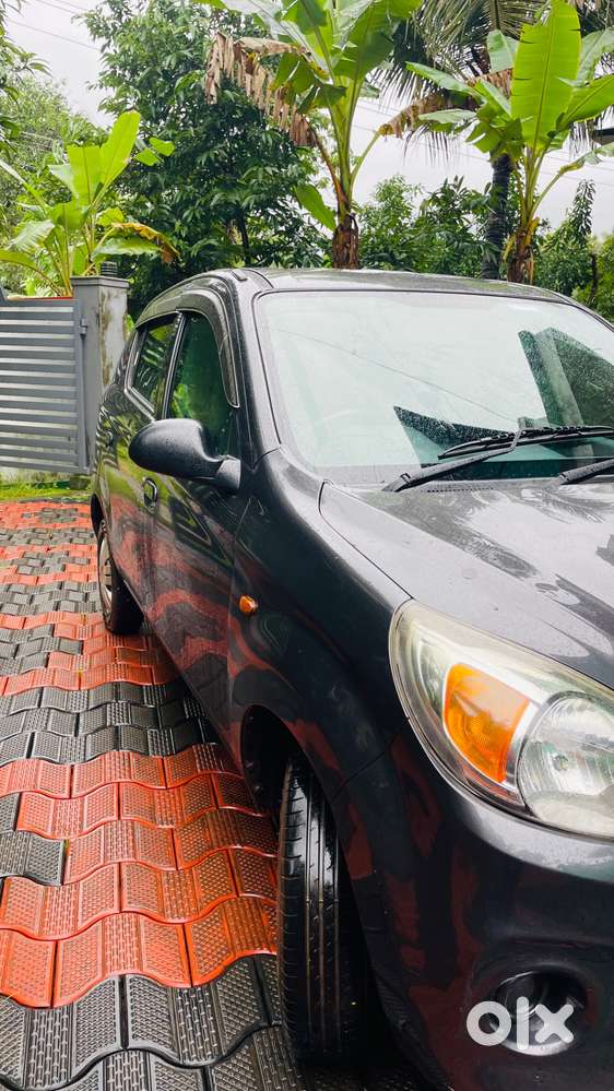 Alto 800 One Person
