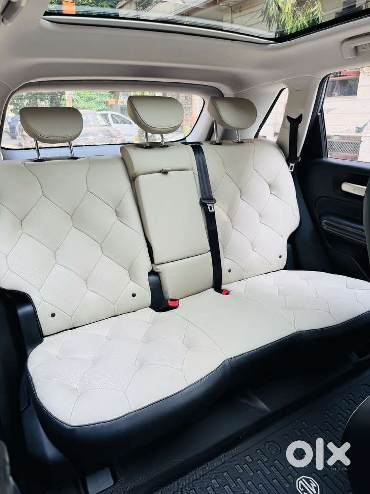Mg Windsor Ev Essence Pro, 2025, Electric