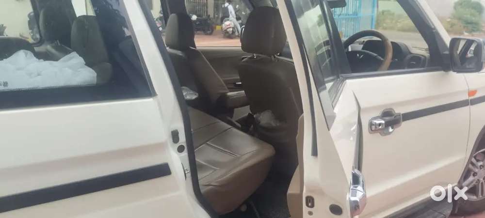 New Car Parches