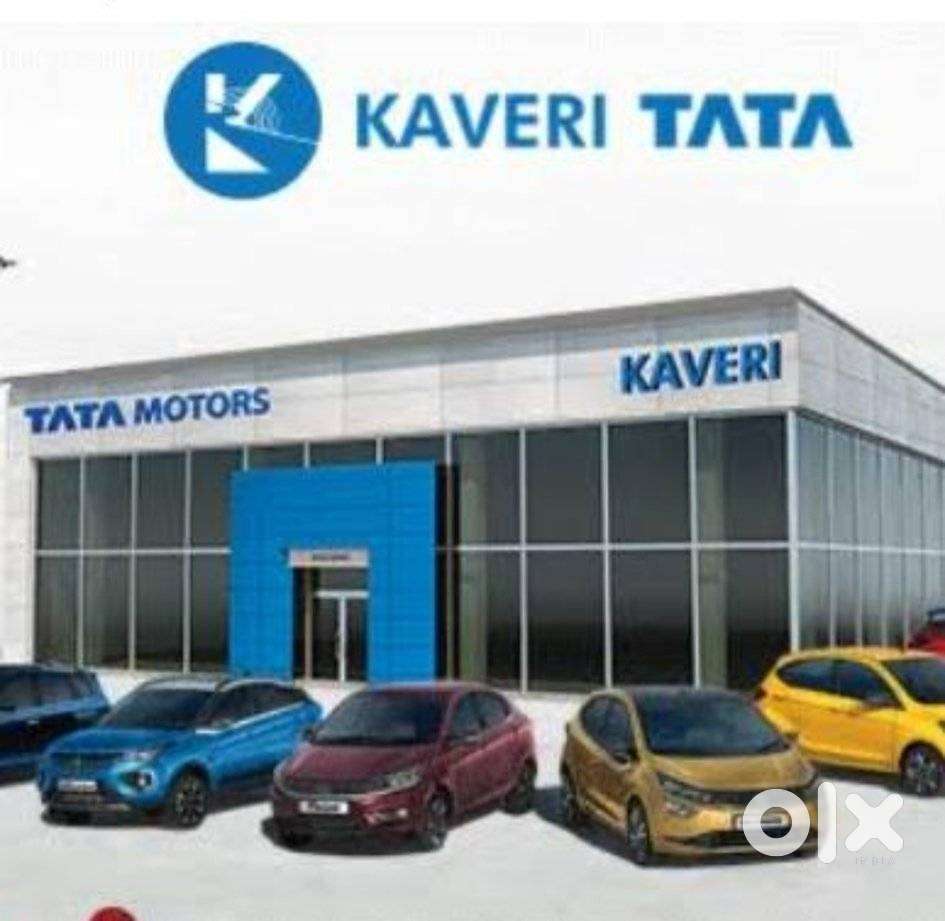 Tata Safari Accomplished Dual Tone At, 2024, Diesel