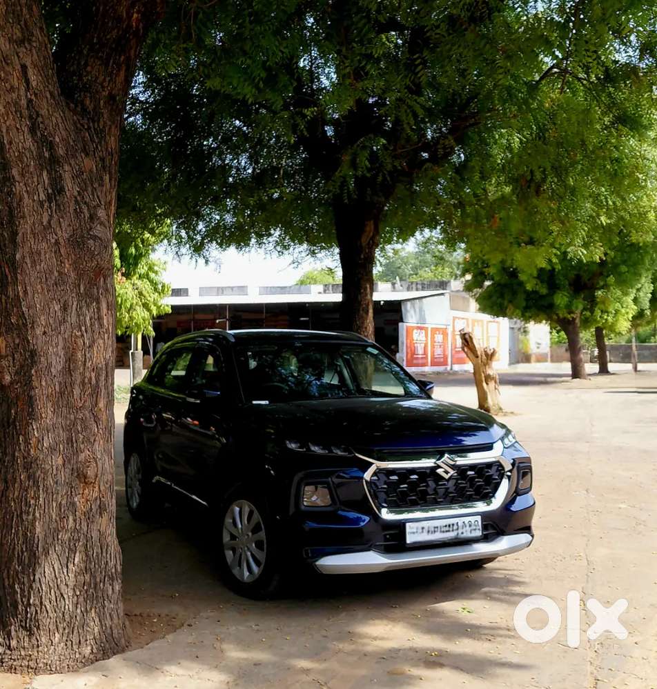 Grand Vitara Delta Cng