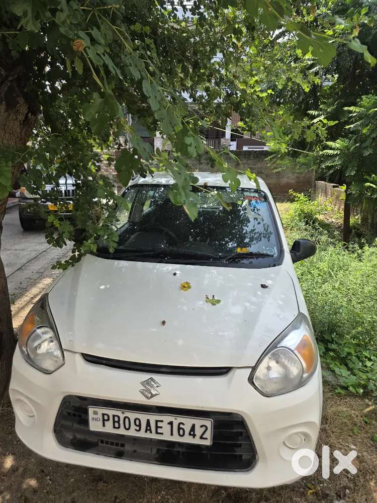 Maruti Suzuki Alto 2017  Army Person Drive
