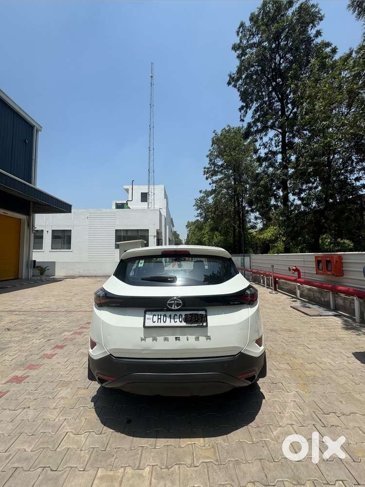 2023 Harrier Diesel Harrier Automatic Plus
