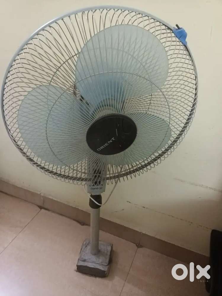 Pedestal Fan Kitchen & Other Appliances 1753379008