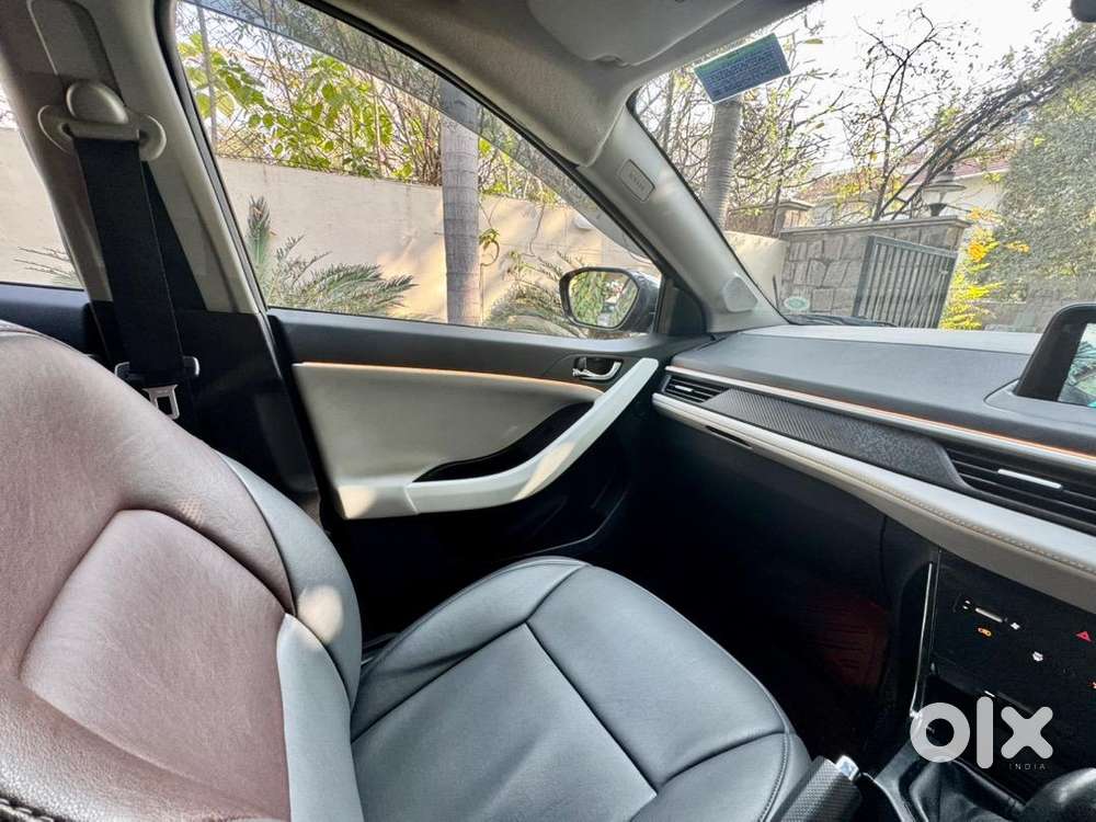 Tata Nexon Creative 2024 Petrol 24000 Km Driven