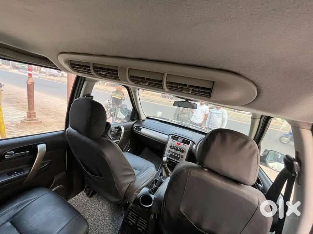 Good Condition Safari Storme