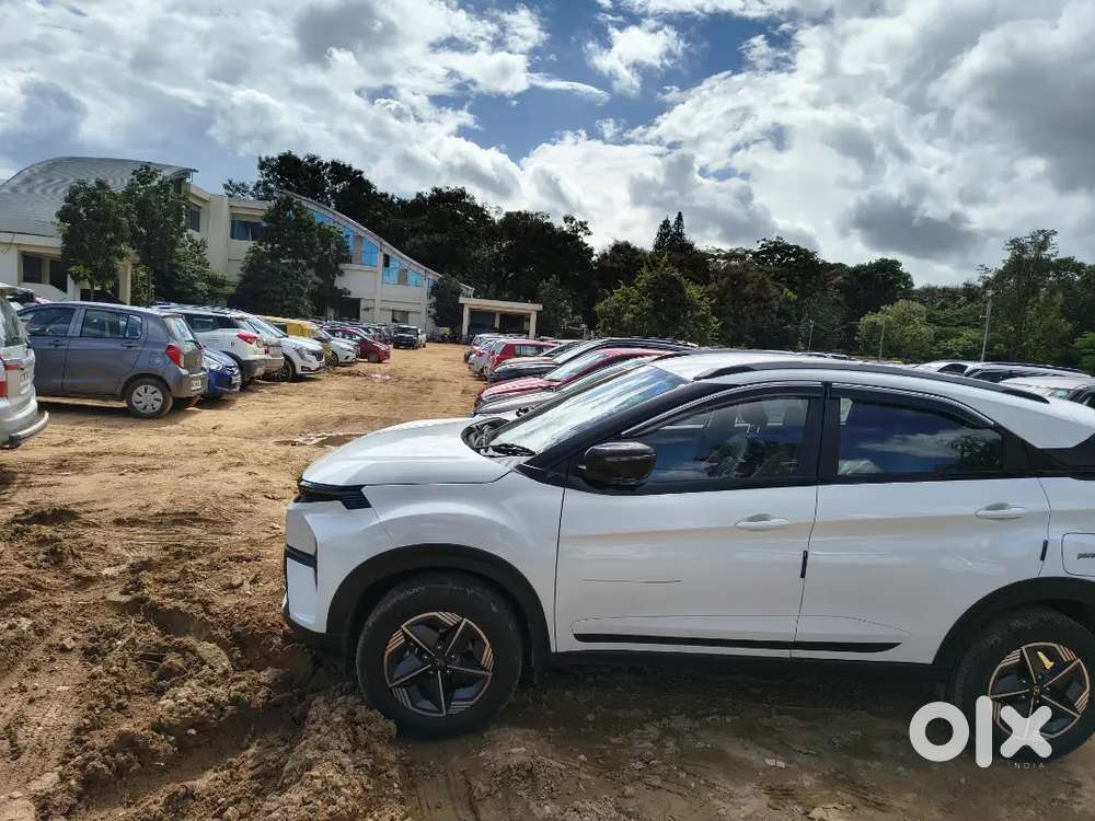 Tata Nexon 2024 Petrol Well Maintained