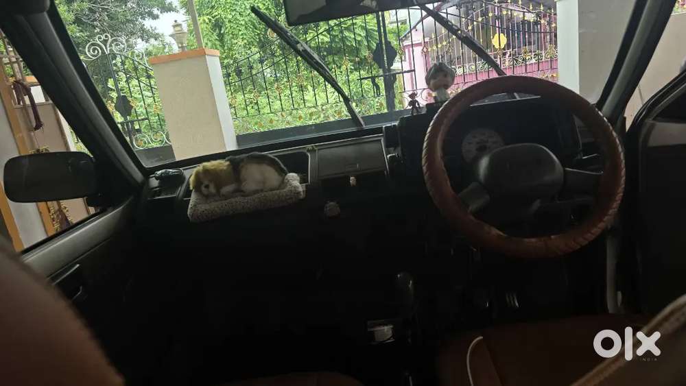 Maruti Suzuki 800 2009 Petrol Manual