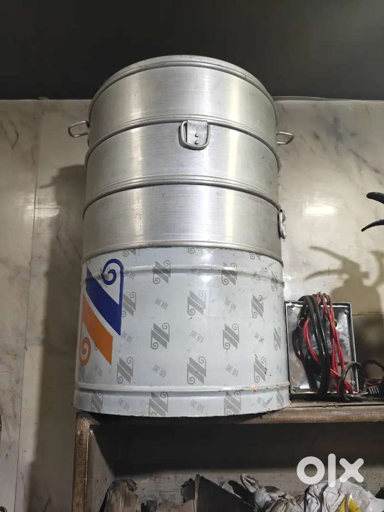 Electric steemer