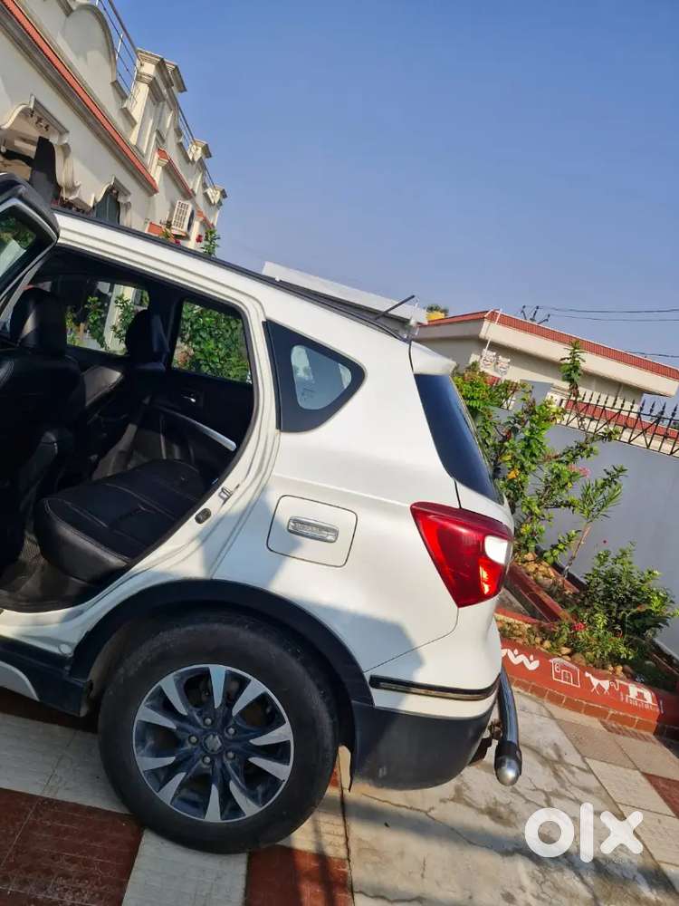 Well Maintained Veterinary Doctor Car